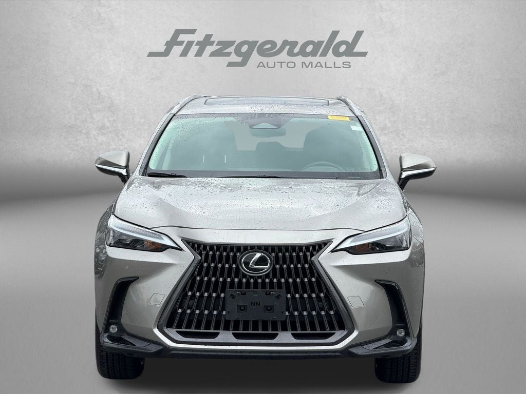 2024 Lexus NX 350 Premium