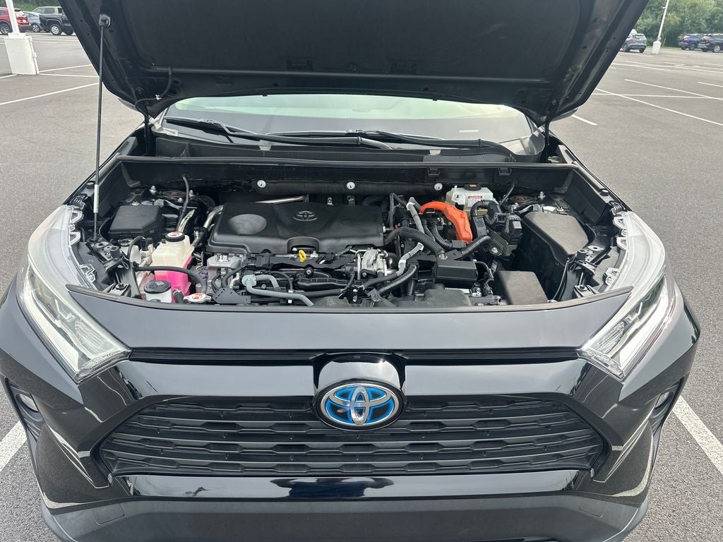 2019 Toyota RAV4 Hybrid XLE